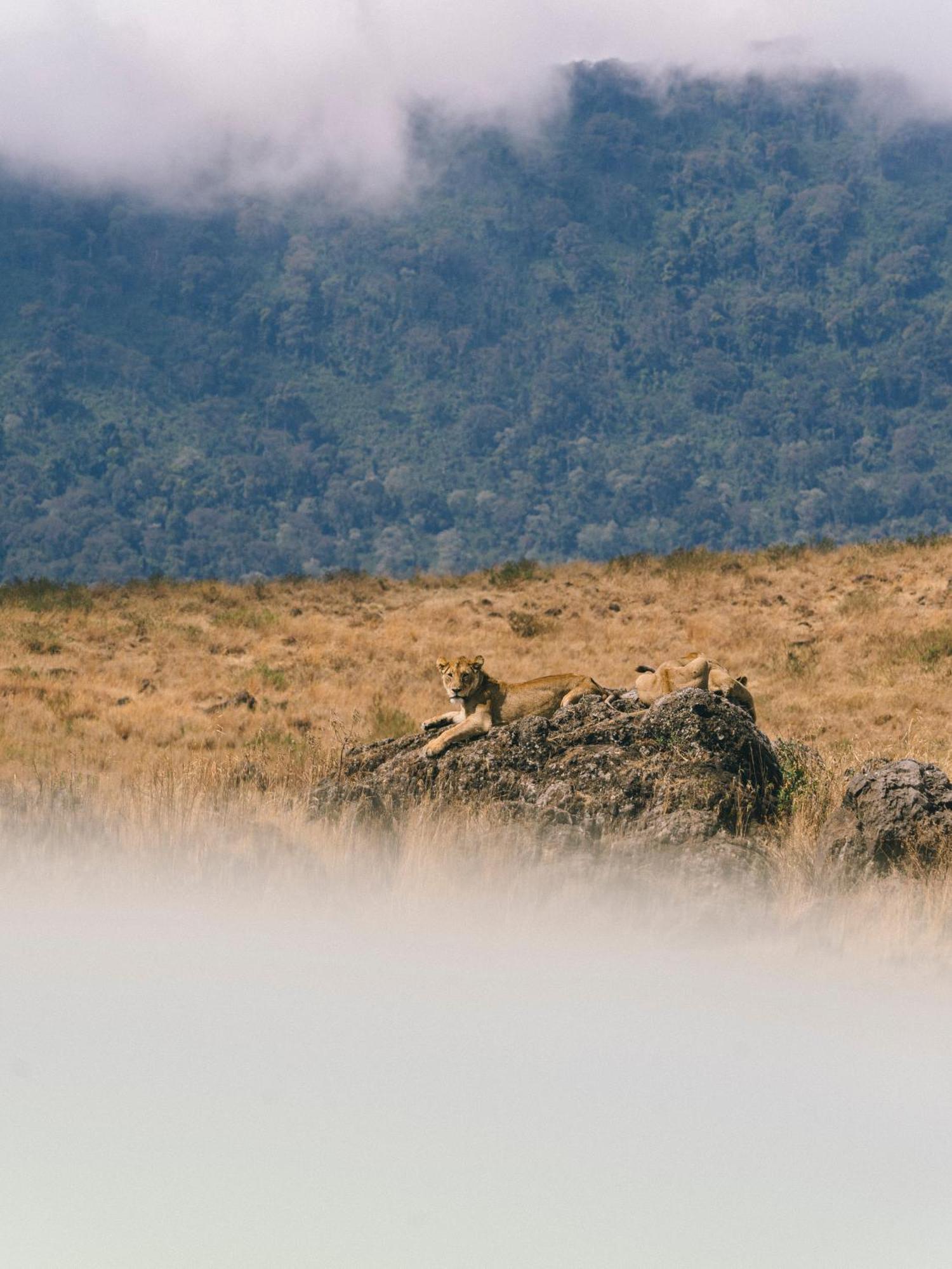 Ngorongoro Lodge Member Of Melia Collection - The Leading Hotels Of The World Εξωτερικό φωτογραφία