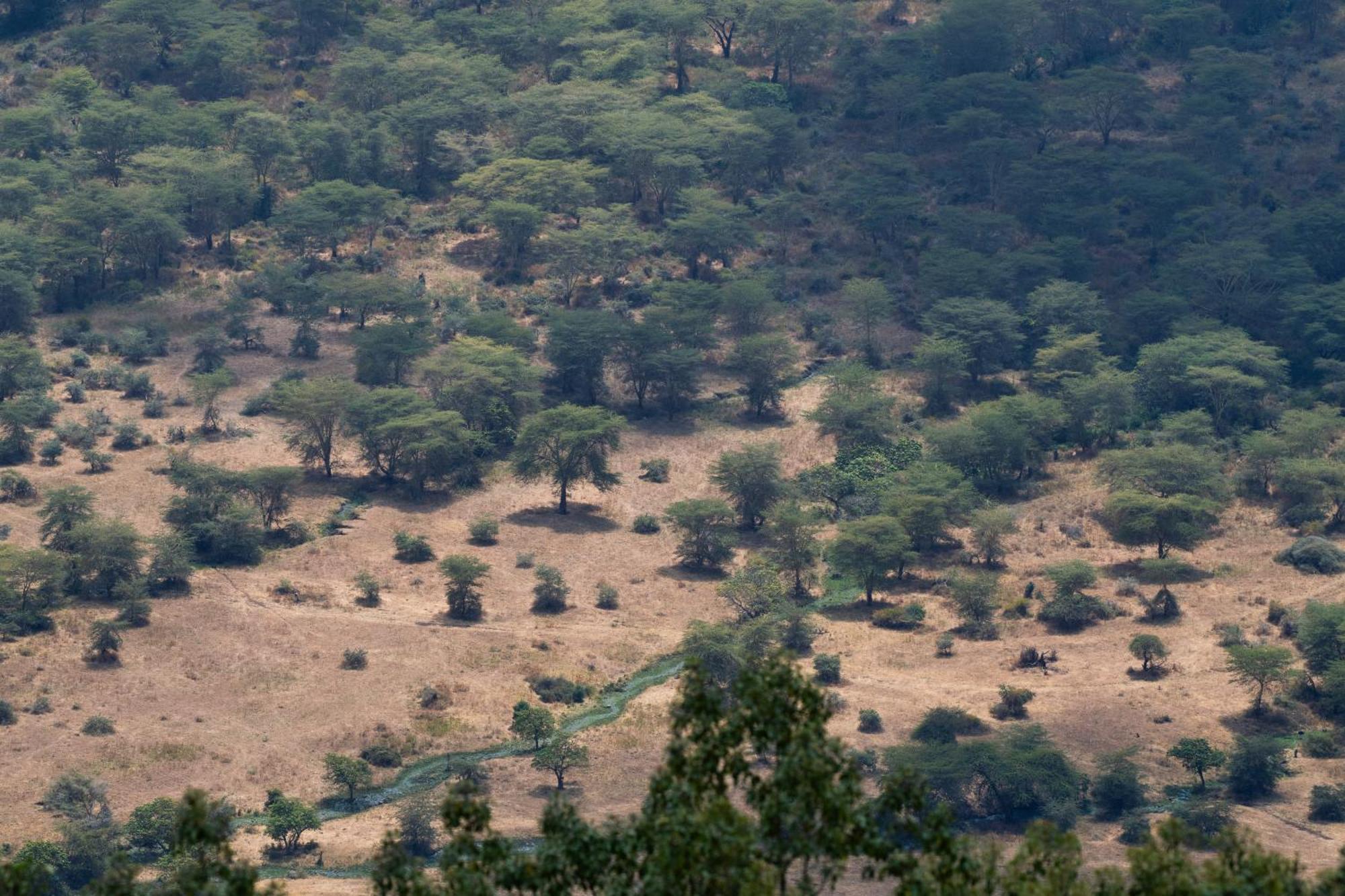 Ngorongoro Lodge Member Of Melia Collection - The Leading Hotels Of The World Εξωτερικό φωτογραφία