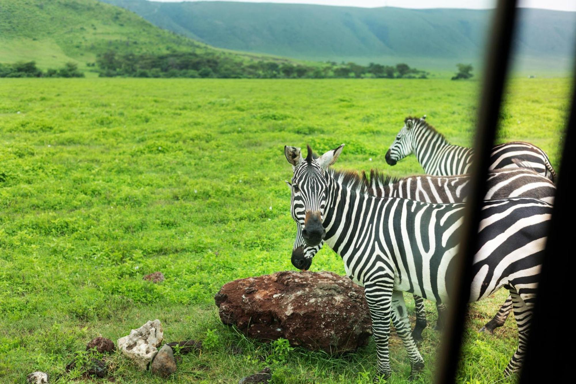Ngorongoro Lodge Member Of Melia Collection - The Leading Hotels Of The World Εξωτερικό φωτογραφία