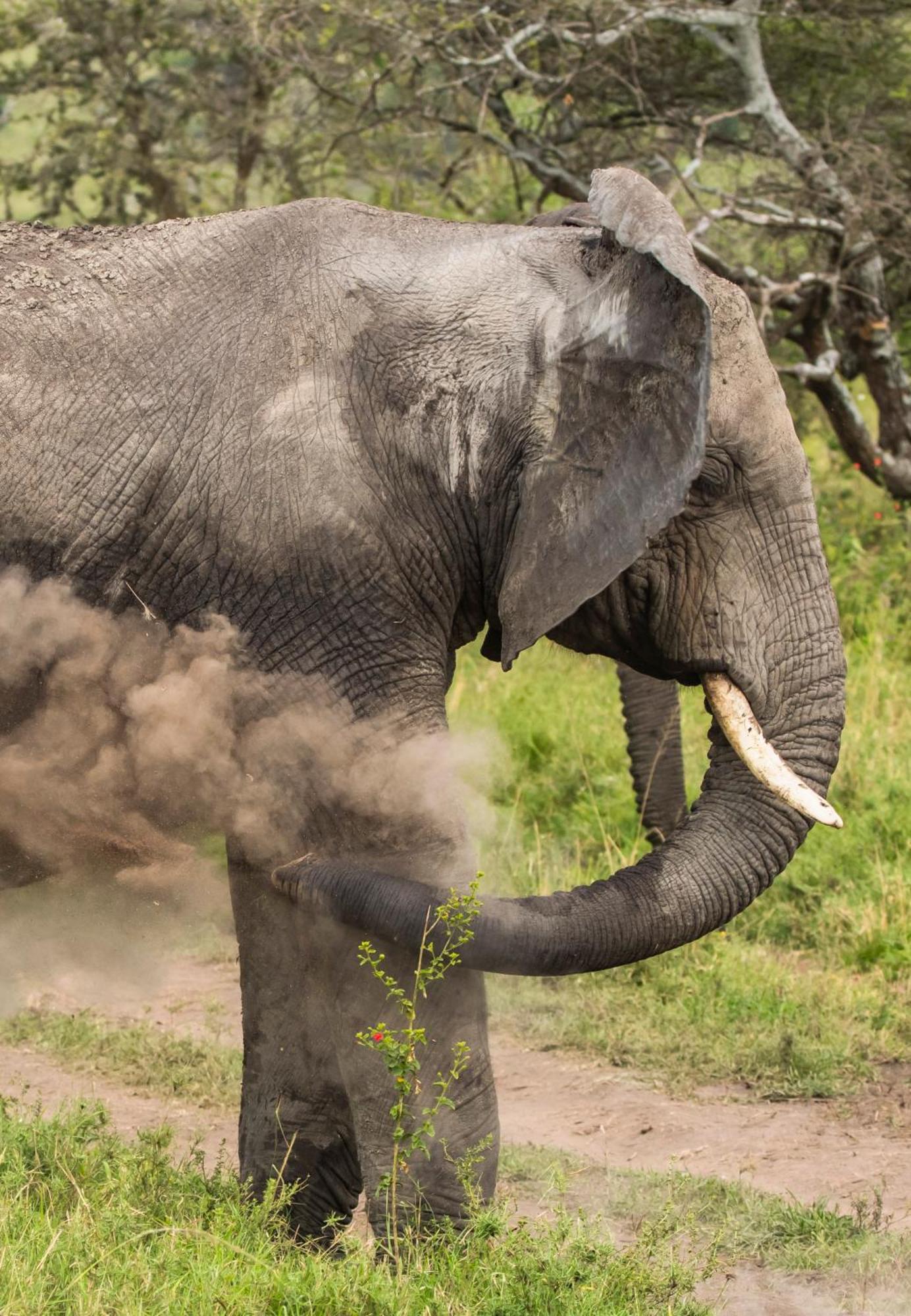 Ngorongoro Lodge Member Of Melia Collection - The Leading Hotels Of The World Εξωτερικό φωτογραφία